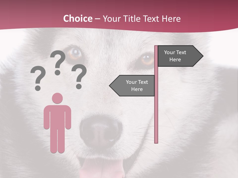 Coat Fear Puppy PowerPoint Template