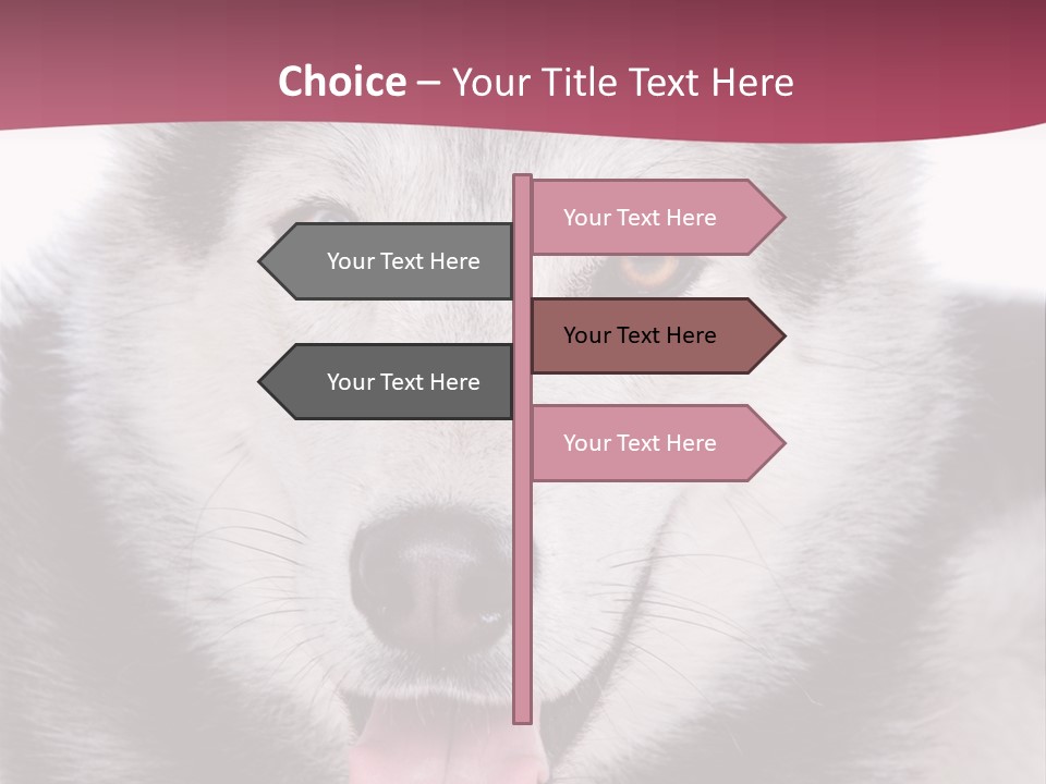 Coat Fear Puppy PowerPoint Template