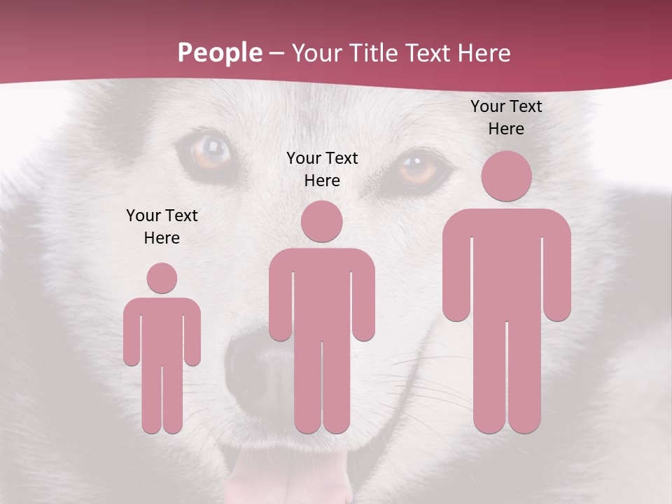 Coat Fear Puppy PowerPoint Template