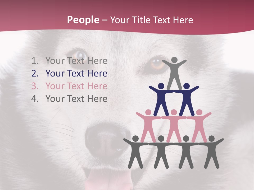 Coat Fear Puppy PowerPoint Template