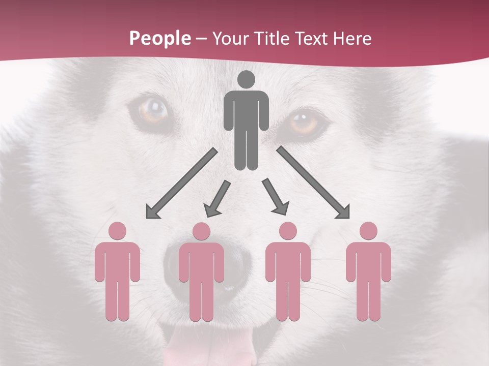 Coat Fear Puppy PowerPoint Template