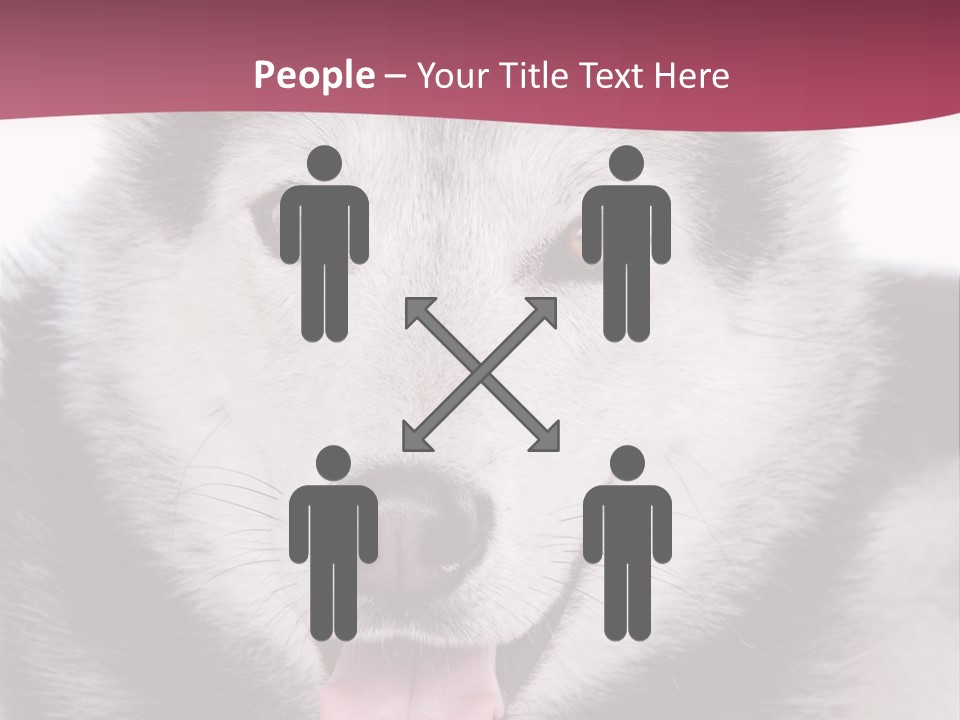 Coat Fear Puppy PowerPoint Template