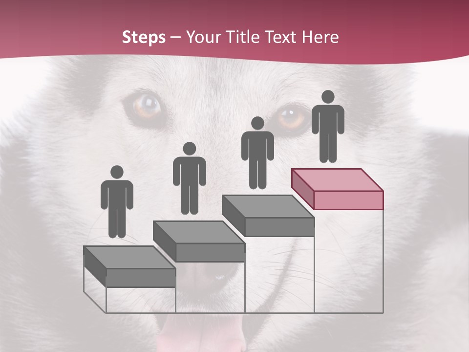 Coat Fear Puppy PowerPoint Template