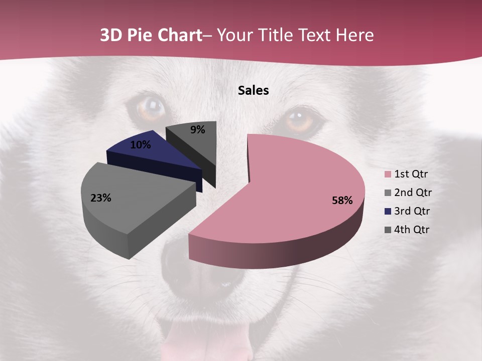 Coat Fear Puppy PowerPoint Template