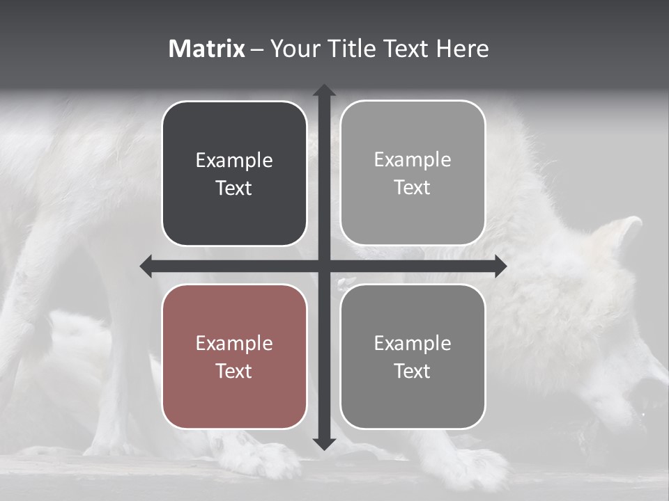 Wolfskind Fell Raubtier PowerPoint Template