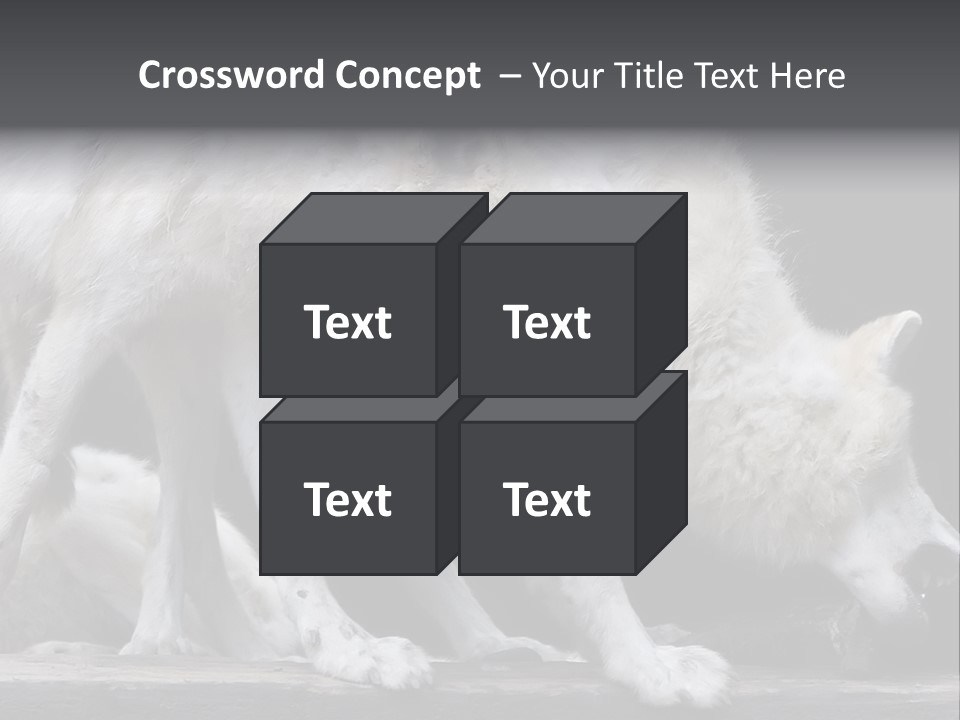 Wolfskind Fell Raubtier PowerPoint Template
