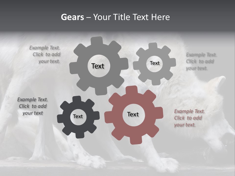 Wolfskind Fell Raubtier PowerPoint Template