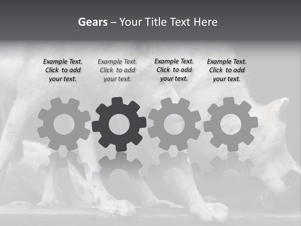 Wolfskind Fell Raubtier PowerPoint Template