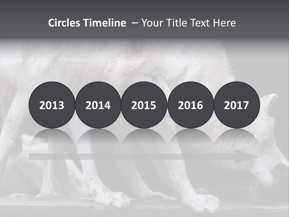 Wolfskind Fell Raubtier PowerPoint Template