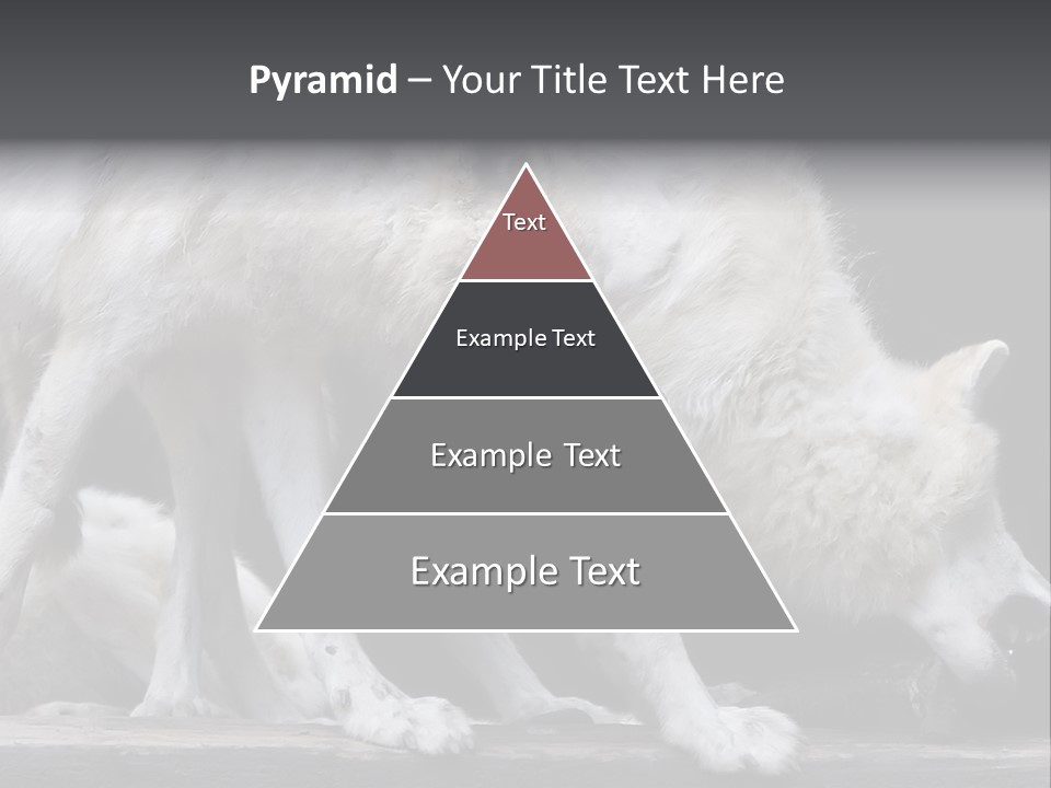 Wolfskind Fell Raubtier PowerPoint Template