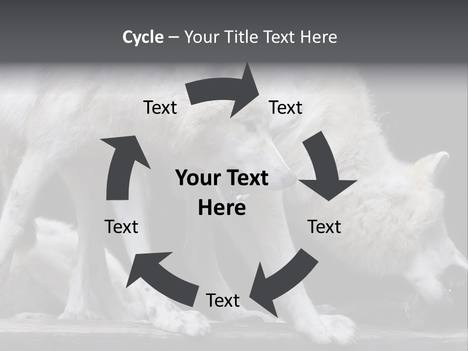 Wolfskind Fell Raubtier PowerPoint Template