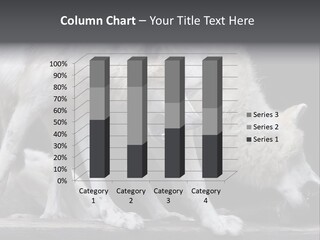 Wolfskind Fell Raubtier PowerPoint Template