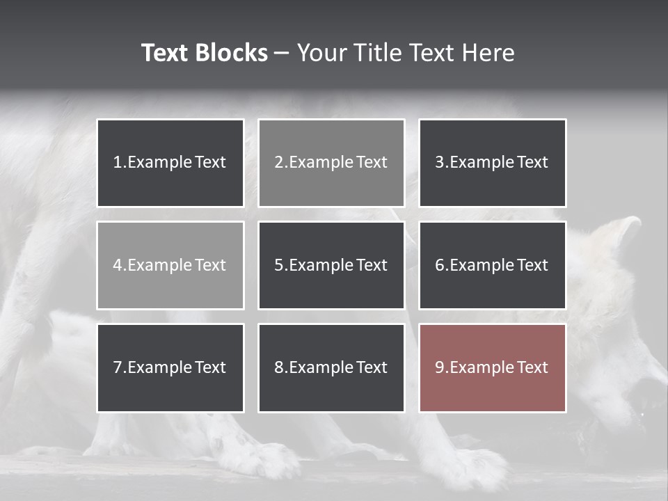 Wolfskind Fell Raubtier PowerPoint Template