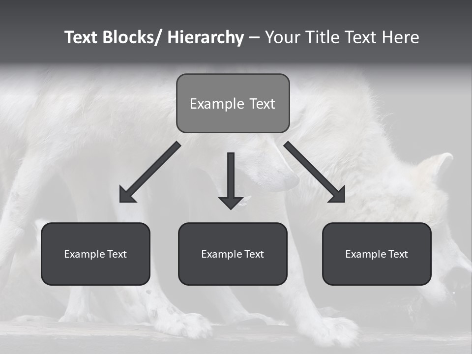 Wolfskind Fell Raubtier PowerPoint Template