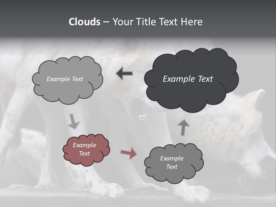 Wolfskind Fell Raubtier PowerPoint Template