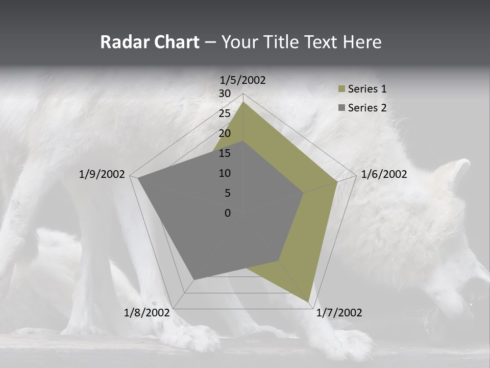 Wolfskind Fell Raubtier PowerPoint Template