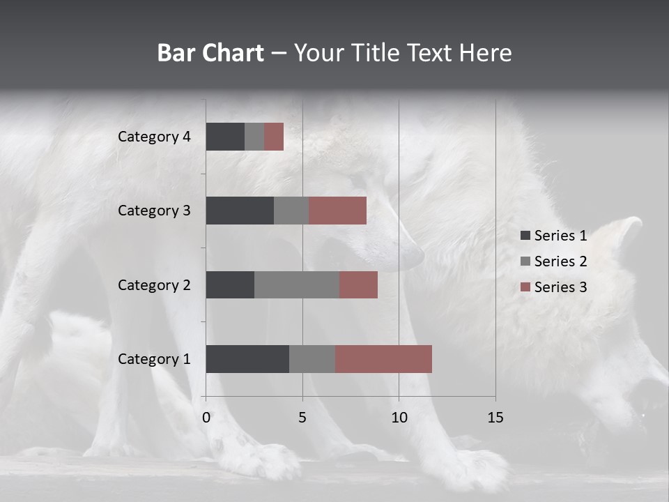 Wolfskind Fell Raubtier PowerPoint Template