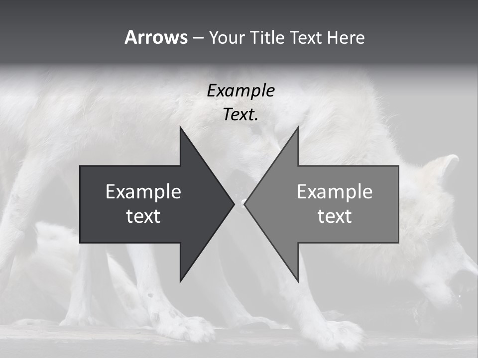 Wolfskind Fell Raubtier PowerPoint Template