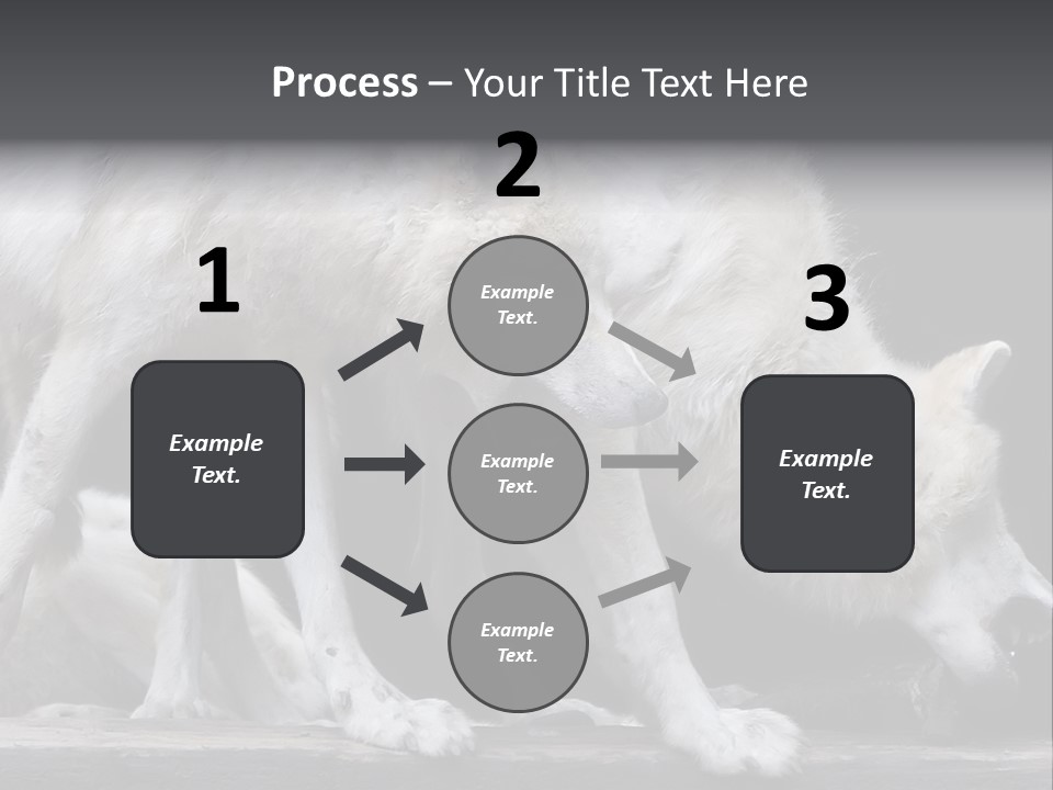 Wolfskind Fell Raubtier PowerPoint Template