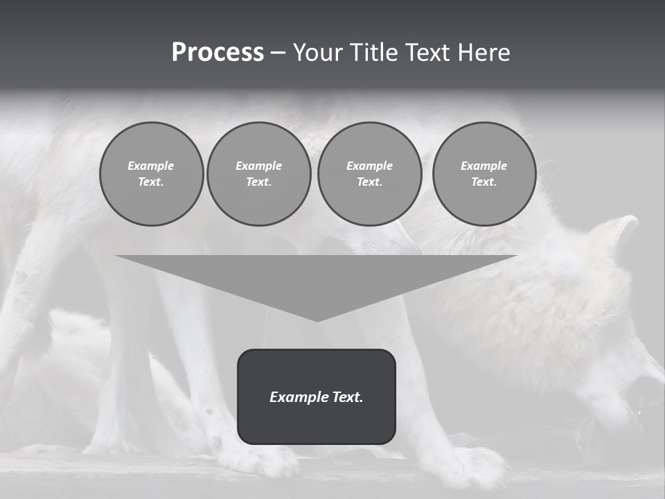 Wolfskind Fell Raubtier PowerPoint Template