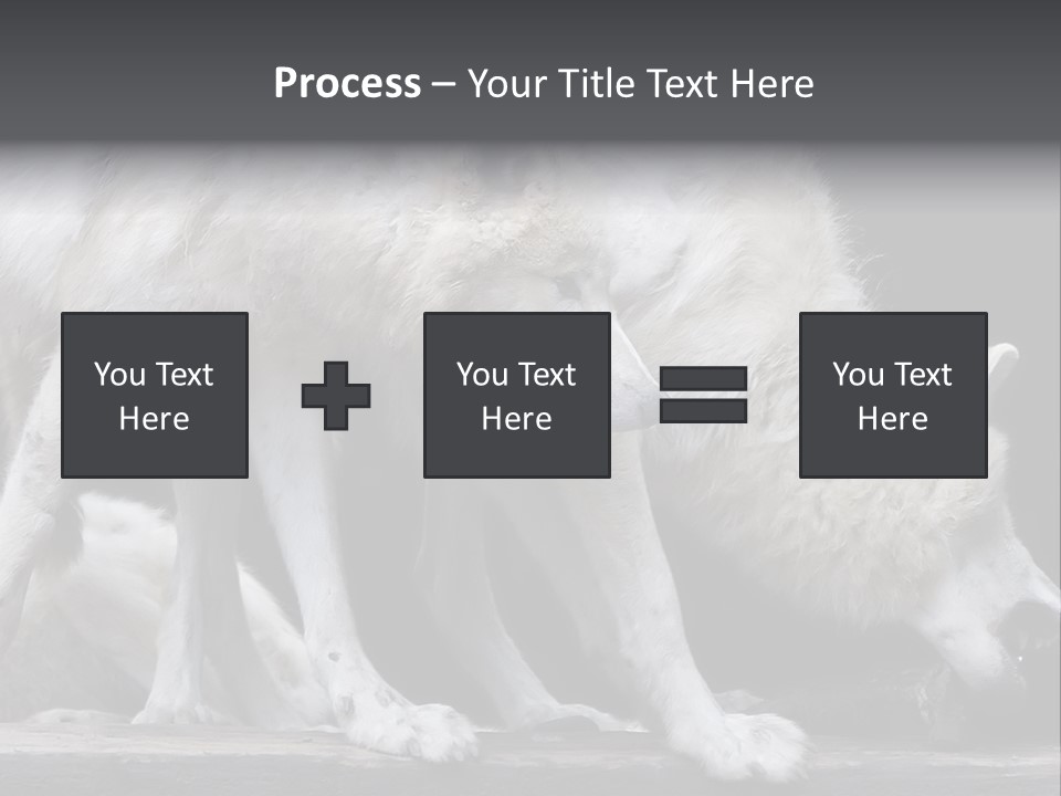 Wolfskind Fell Raubtier PowerPoint Template