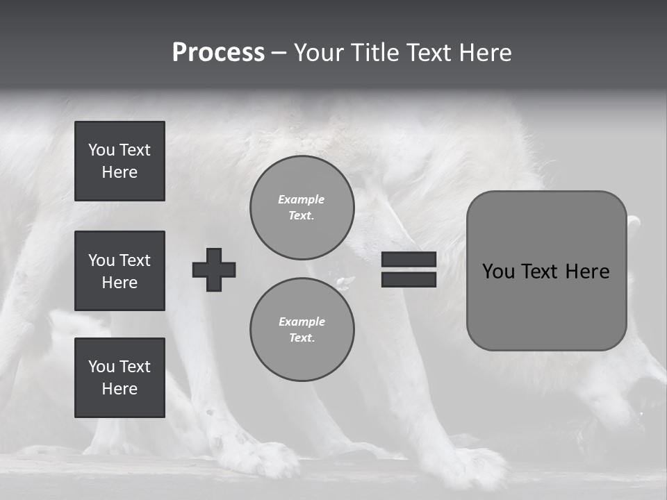 Wolfskind Fell Raubtier PowerPoint Template