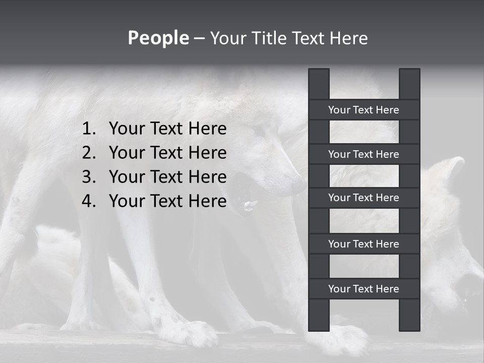 Wolfskind Fell Raubtier PowerPoint Template