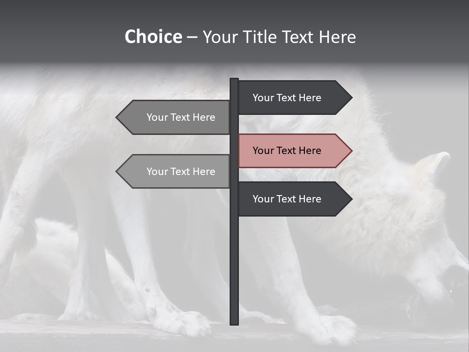 Wolfskind Fell Raubtier PowerPoint Template