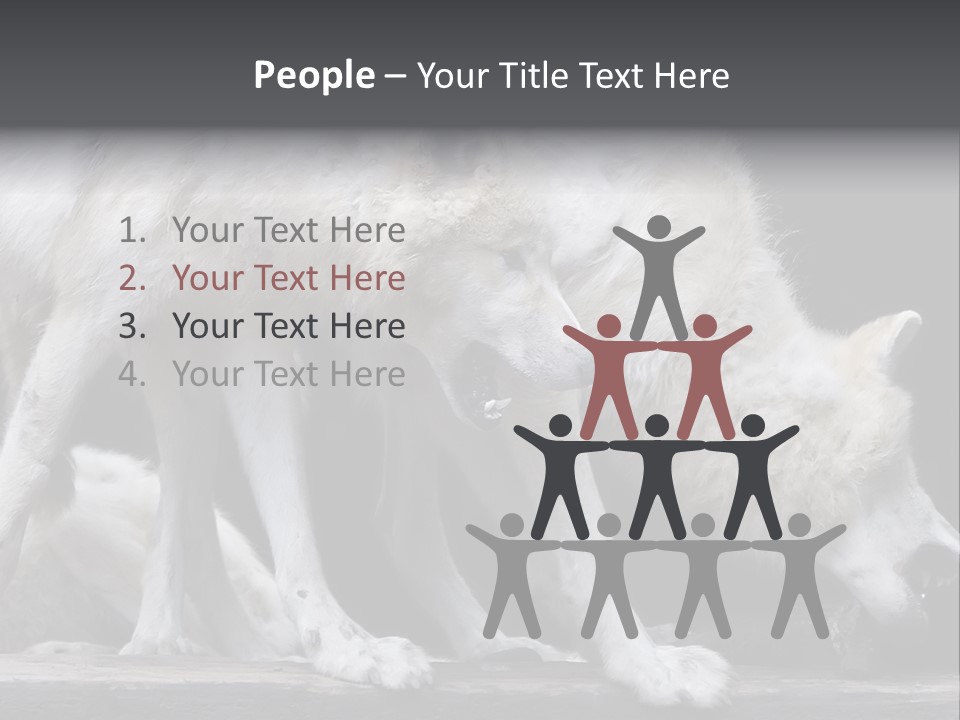 Wolfskind Fell Raubtier PowerPoint Template