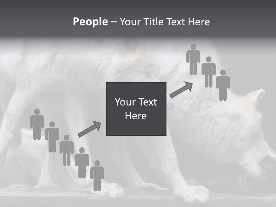 Wolfskind Fell Raubtier PowerPoint Template