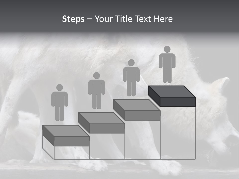 Wolfskind Fell Raubtier PowerPoint Template