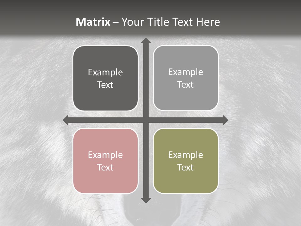 Carnivore Wildlife Grey PowerPoint Template