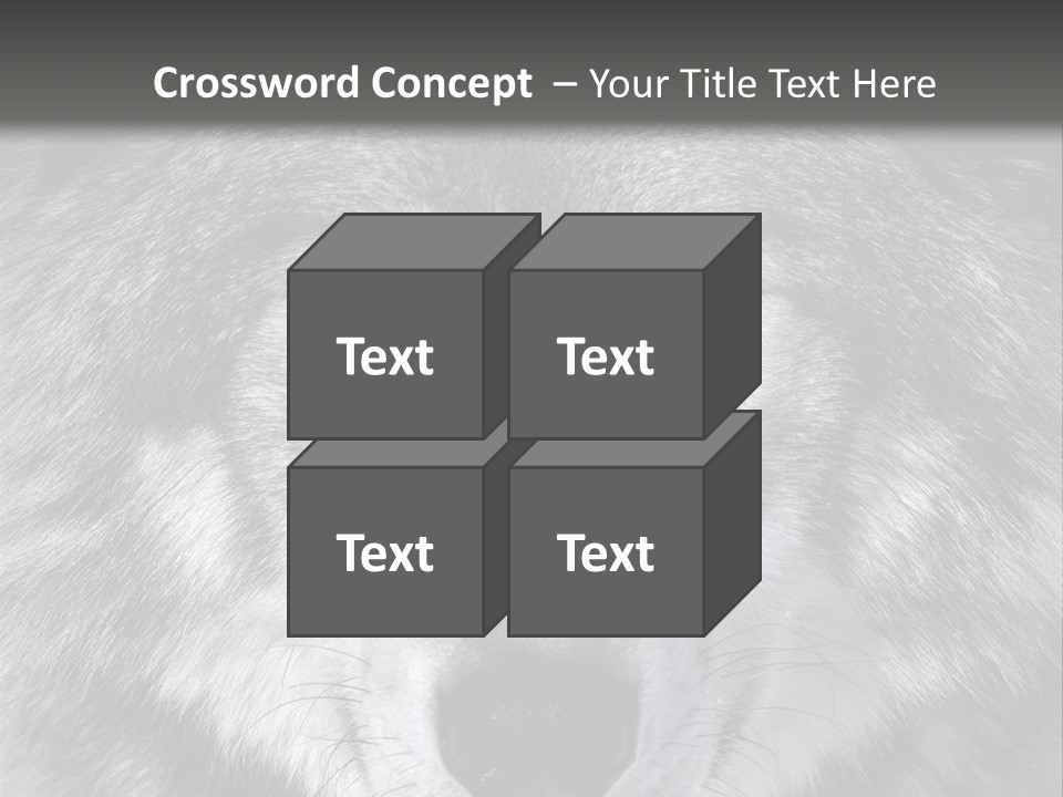 Carnivore Wildlife Grey PowerPoint Template