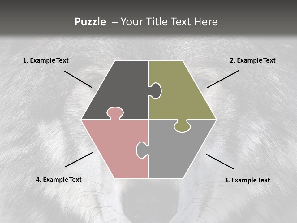 Carnivore Wildlife Grey PowerPoint Template