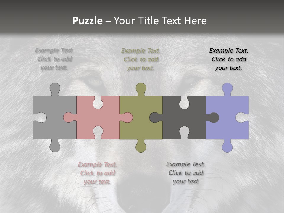 Carnivore Wildlife Grey PowerPoint Template