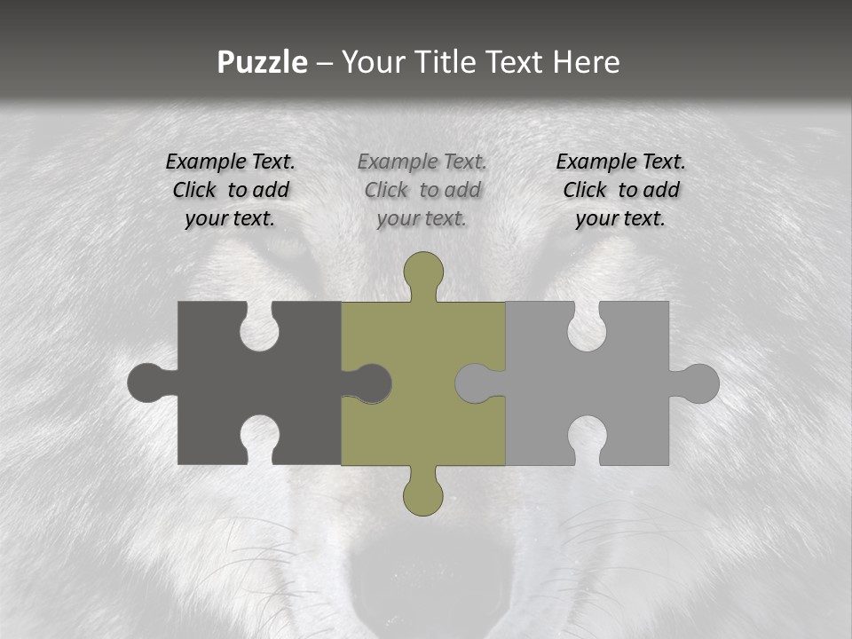 Carnivore Wildlife Grey PowerPoint Template