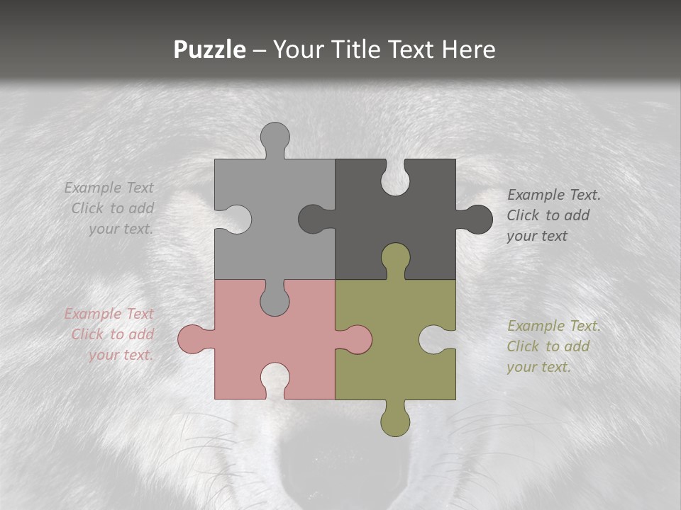 Carnivore Wildlife Grey PowerPoint Template