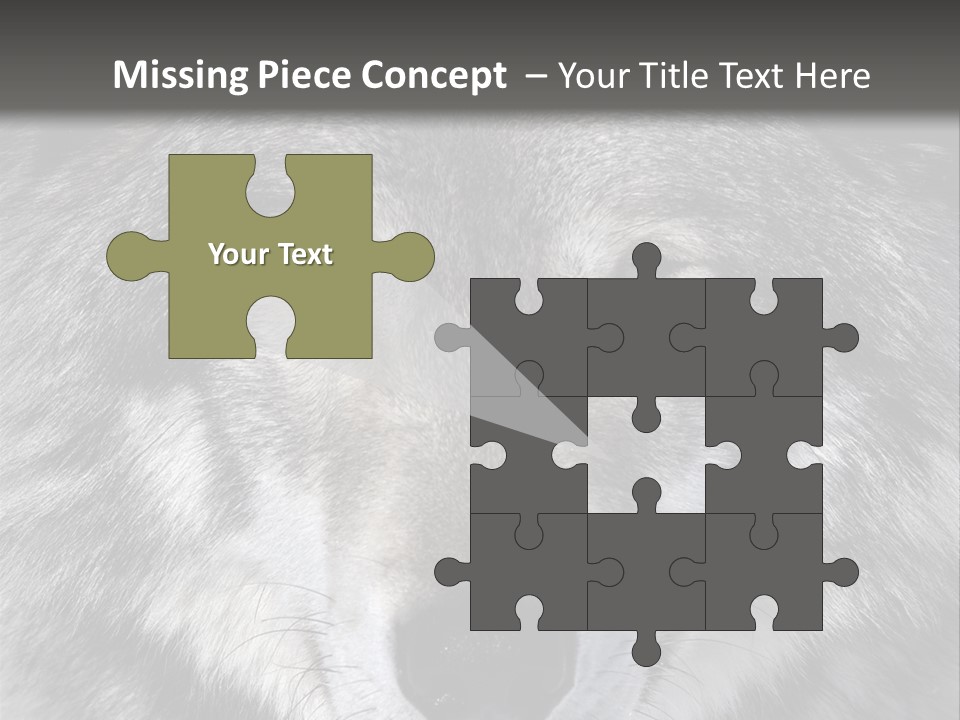 Carnivore Wildlife Grey PowerPoint Template