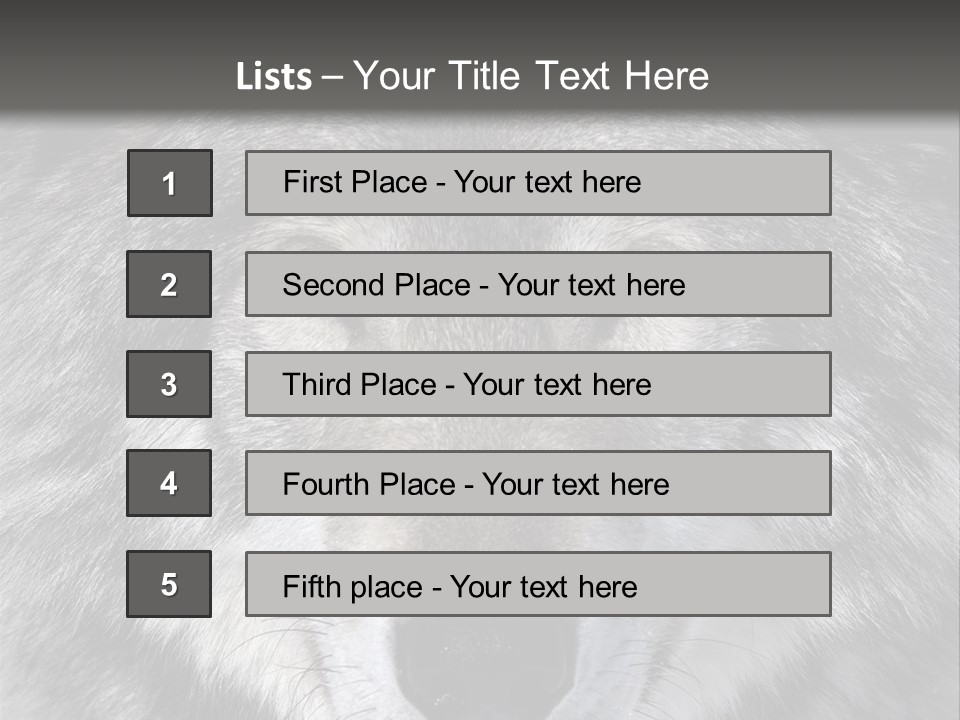 Carnivore Wildlife Grey PowerPoint Template