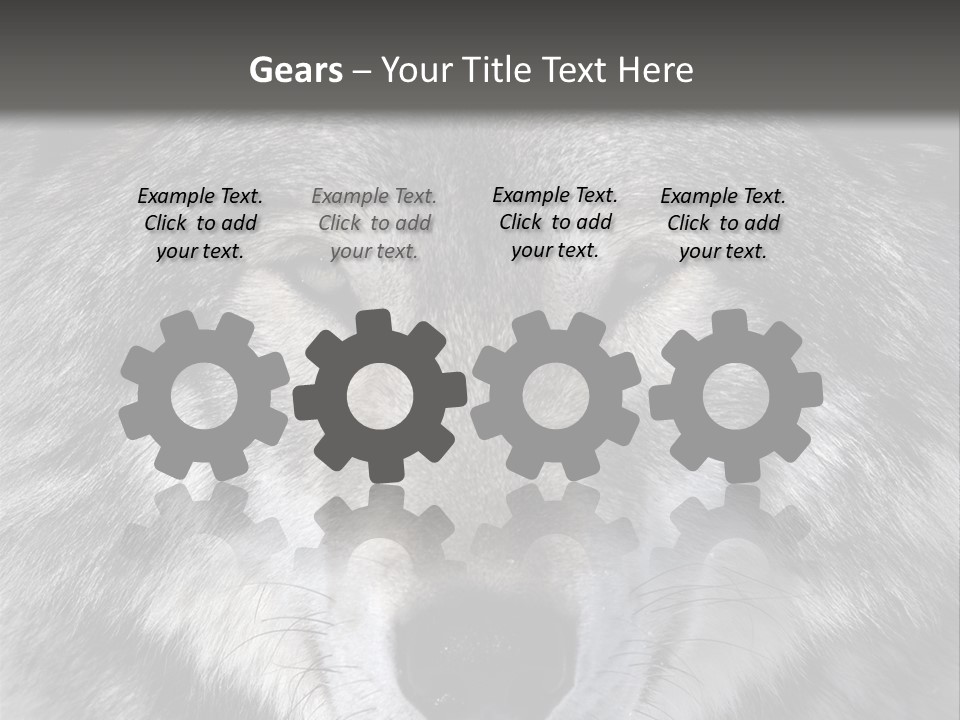 Carnivore Wildlife Grey PowerPoint Template