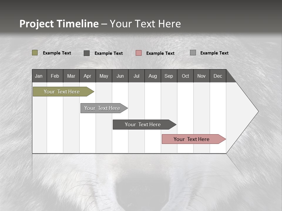 Carnivore Wildlife Grey PowerPoint Template