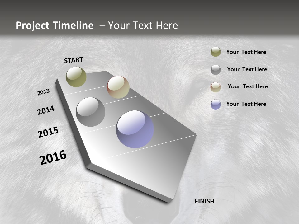 Carnivore Wildlife Grey PowerPoint Template