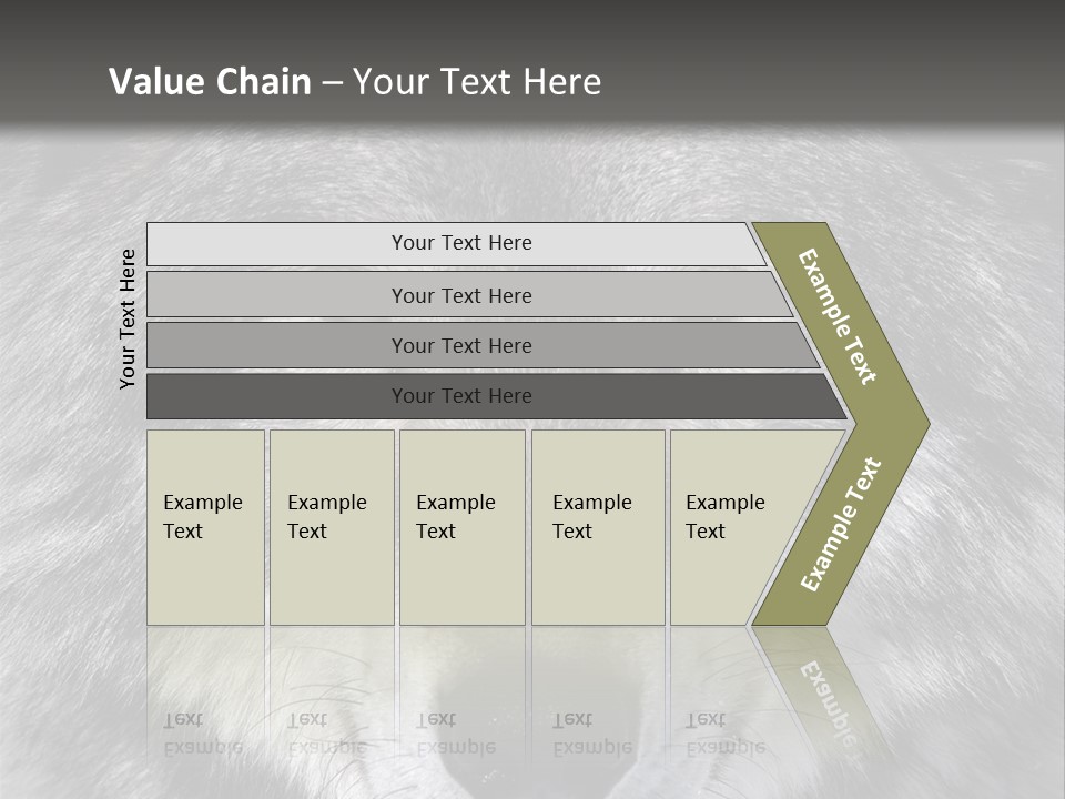 Carnivore Wildlife Grey PowerPoint Template