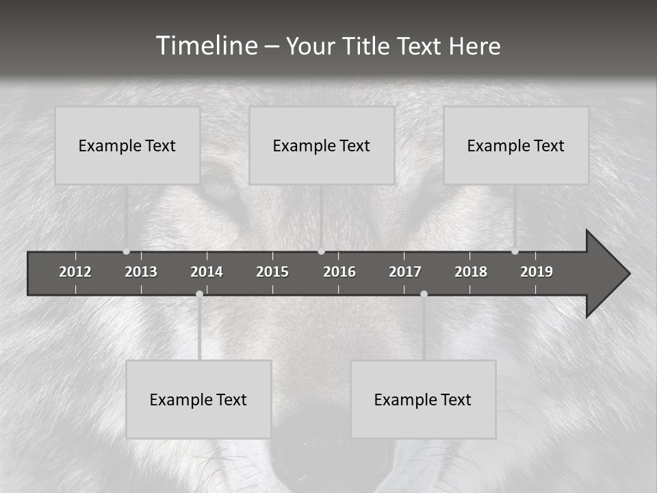 Carnivore Wildlife Grey PowerPoint Template