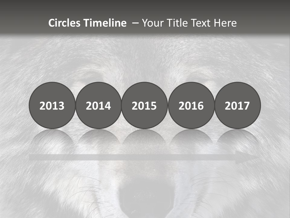 Carnivore Wildlife Grey PowerPoint Template