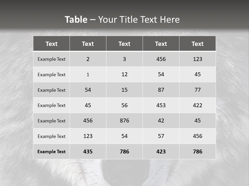 Carnivore Wildlife Grey PowerPoint Template