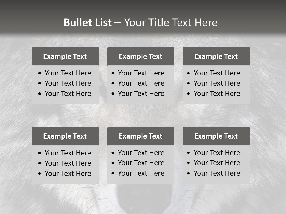 Carnivore Wildlife Grey PowerPoint Template