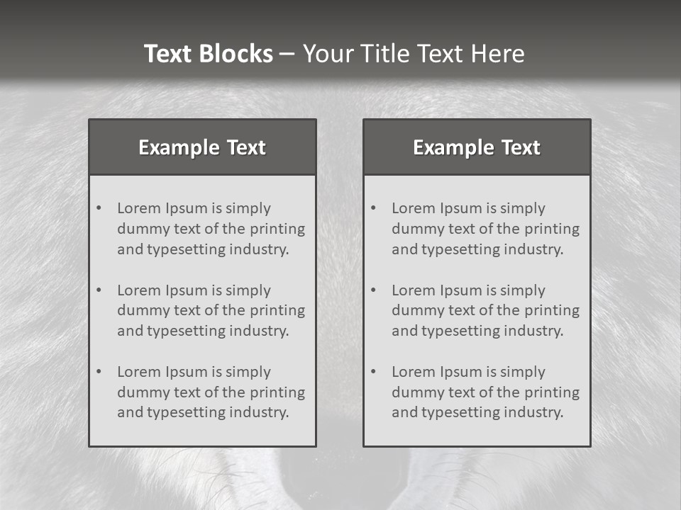 Carnivore Wildlife Grey PowerPoint Template