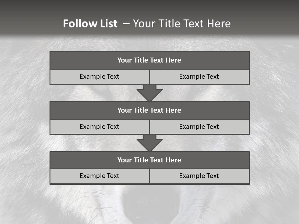 Carnivore Wildlife Grey PowerPoint Template