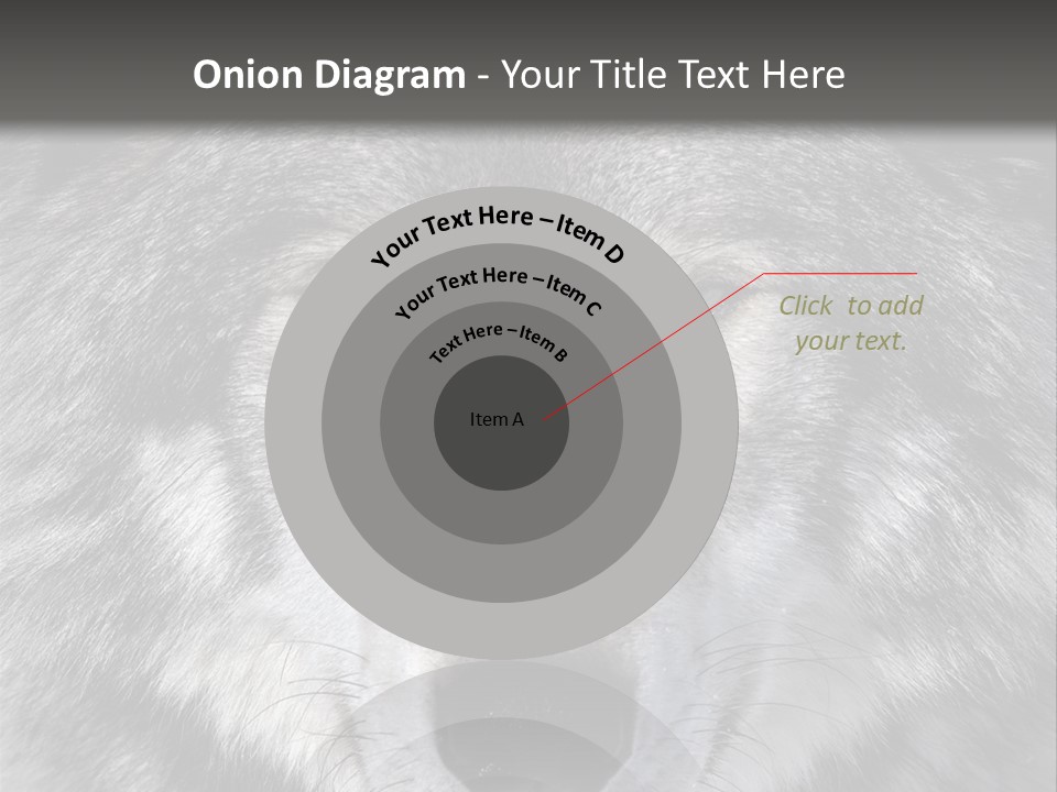 Carnivore Wildlife Grey PowerPoint Template